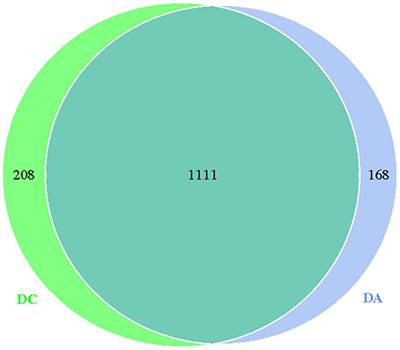 Analysis of Gut Microbiota and Metabolites in Diannan Small Ear Sows at Diestrus and Metestrus